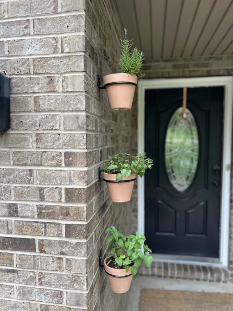 A front porch vertical herb garden