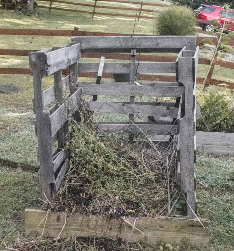 The compost pile adjacent to my home garden.